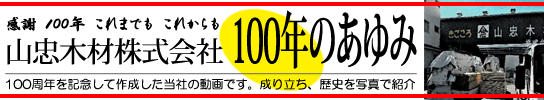 R؍ފ 100N̂݁ij